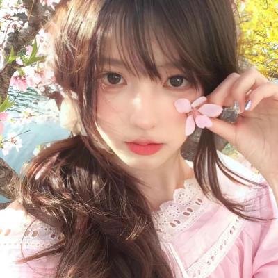 青天白日满地红